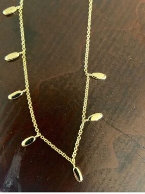NWT Kendra Scott Bundle 14kt Gold plate necklace and small velvet jewelry case